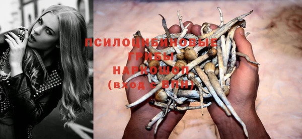 соль курить ск Алзамай